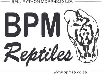 BPM final Logo Transparent